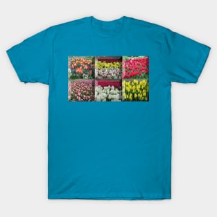 An assortment of tulips framed together T-Shirt